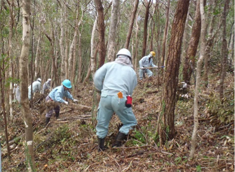 山の手入れ(森林整備事業)